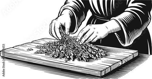 Hands tying a bundle of herbs on wooden cutting board black and white vintage engraving illustration