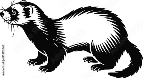 Black and white ferret silhouette illustration wild animal with fluffy tail and sharp claws simple vector design