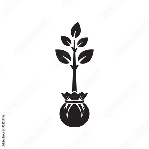 Minimalist Balled and Burlapped Sapling Silhouette Vector - Tree Nursery and Planting Icon