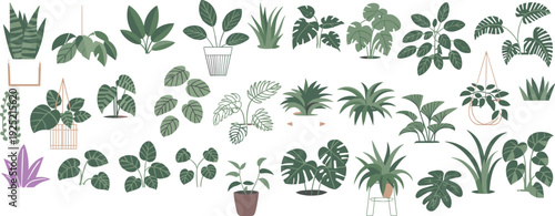 Assortment of Green Potted and Hanging Houseplants