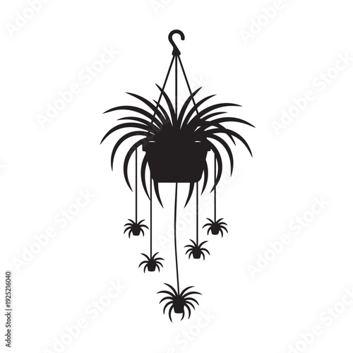 Hanging Spider Plant Silhouette Vector - Chlorophytum Comosum Potted Houseplant Graphic
