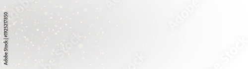 Premium Christmas light dust overlay with bright shining sparkles, festive flash effect, and luxury celebration design