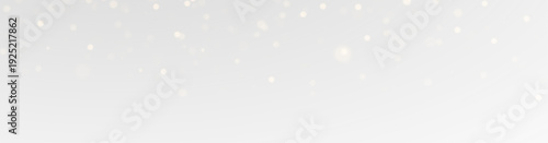 Premium Christmas light dust overlay with bright shining sparkles, festive flash effect, and luxury celebration design