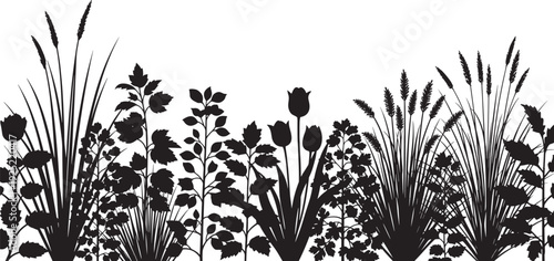 Black vector silhouette of a wildflower garden border with tulips tall grasses and diverse leafy plants for landscaping nature park and floral branding,