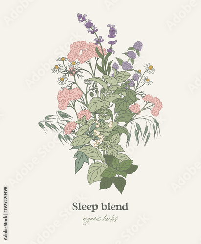 Sleep Herbal Blend Botanical Bouquet Illustration