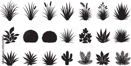 Black vector silhouette set of twenty one diverse garden shrubs bushes ornamental grasses and desert cacti for landscape design nature branding and botanical advertising