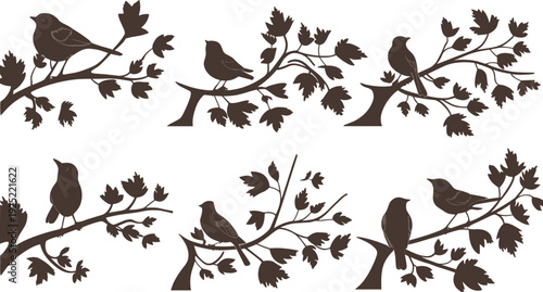 Birds on tree branches silhouette set, decorative woodland vector illustration with perched songbirds isolated for nature design, spring decor and botanical graphics