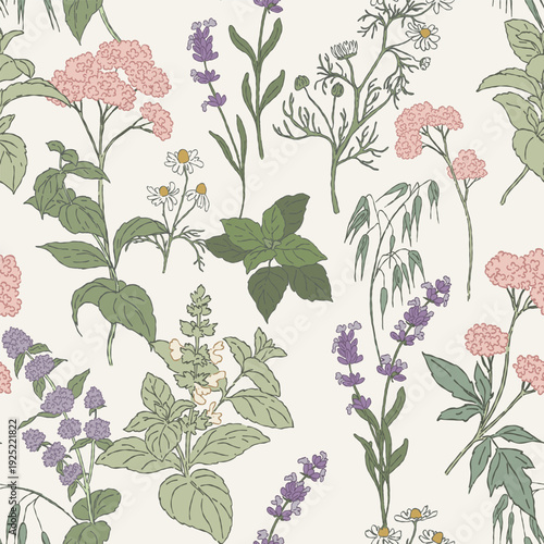 Seamless pattern,hand drawn sleep tea herbs
