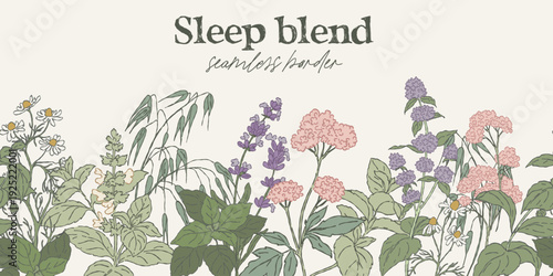 Seamless botanical border featuring hand drawn sleep tea herbs