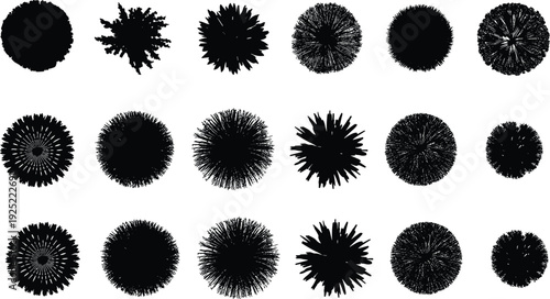 Black tree canopy top view silhouette set with detailed foliage textures, isolated on white background, botanical elements for landscape architecture and map design