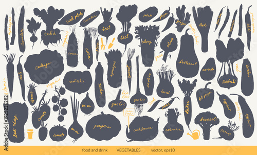 Hand drawn ink vegetable silhouettes set. Tomato, cucumber, bell pepper, zucchini, pumpkin, butternut, squash, corn, onion, radish, potato, asparagus, artichoke, cabbage, kohlrabi. For food background