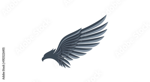 Bird Eagle Flying Wings Spread Wide.