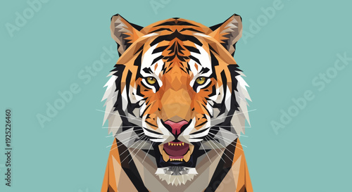 Closeup of a tiger face.