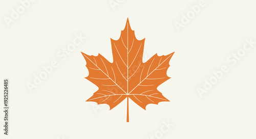 Autumn Orange Maple Leaf Closeup.
