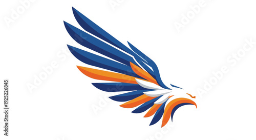 Colorful eagle in mid flight motion.