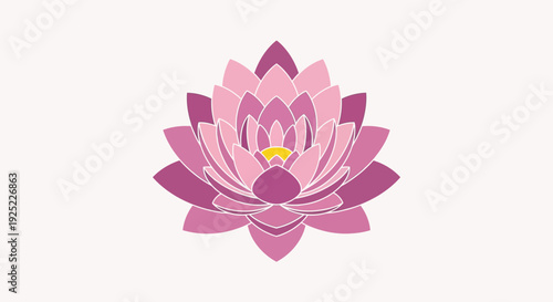 Pink Lotus Flower Close Up View.