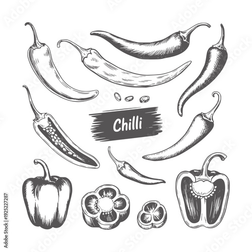 Black and white ink of various chili peppers and bell peppers paprika capsicum