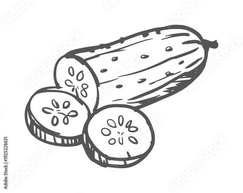 Black and white line of a whole cucumber with slices vegetable food outline