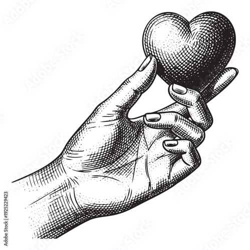 A classic woodcut style depiction of a human hand gently holding a symbolic heart, perfect for conveying messages of love, care, or generosity in various print and digital media applications