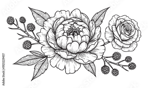 Elegant botanical composition featuring a detailed hand drawn peony, a blooming rose, and wild berries, perfect for vintage inspired wedding stationery, fabric prints, or sophisticated