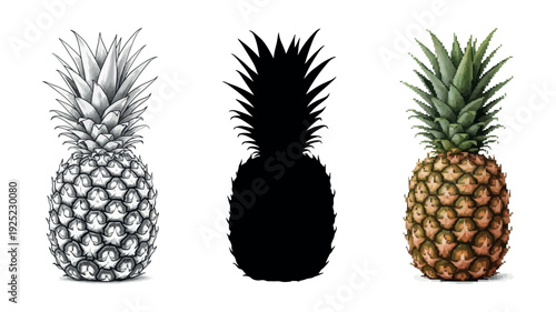 Different pineapple representations including a grayscale sketch, a dark silhouette, and a colorful pixel graphic, perfect for tropical food and drink themes and various design applications.