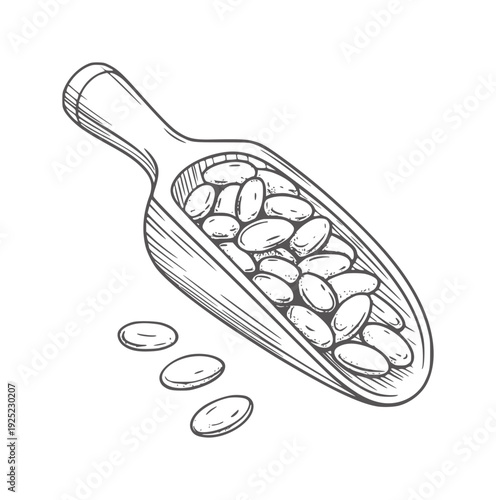 Black and white line of wooden scoop filled with beans