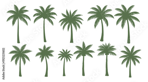 A collection of various palm tree silhouettes in a tropical green color offering versatile graphic elements for vacationthemed branding, summer advertising, or exotic decor