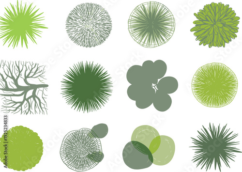 Top view tree crown and shrub symbols set, green landscape plan elements with circular canopies, bushes, and foliage textures for garden design drawings.