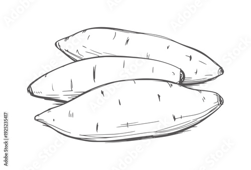 Three black and white line sweet potatoes root vegetable
