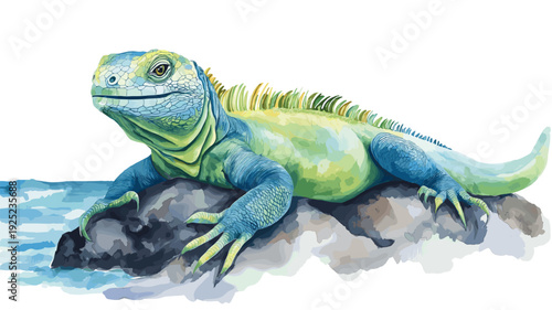 Galapagos Islands. Galapagos Islands hand drawn watercolor illustration
