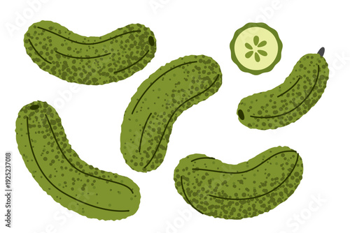 Set of cucumbers in different views including whole vegetables and sliced piece. The main focus is fresh organic produce for healthy food concepts.