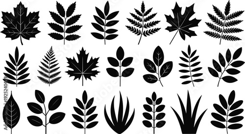 Black leaf silhouettes set, assorted botanical foliage shapes, nature plant elements collection, isolated floral illustration design