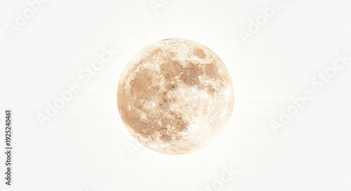 A close up view of a beige and white egg with brown spots on a plain white background showcasing natural textures and patterns