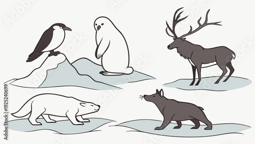 Arctic Wildlife Collection Polar Bear Reindeer Wolf Penguin Seabird Illustration for Ecology Education and Winter Themes