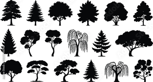 Black tree silhouettes set, forest and deciduous trees collection, botanical nature shapes, isolated woodland landscape illustration