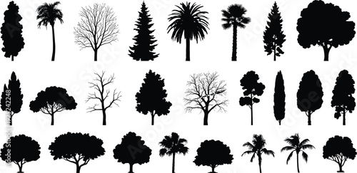 Black tree silhouettes set, forest and tropical trees collection, botanical nature shapes, isolated woodland landscape illustration