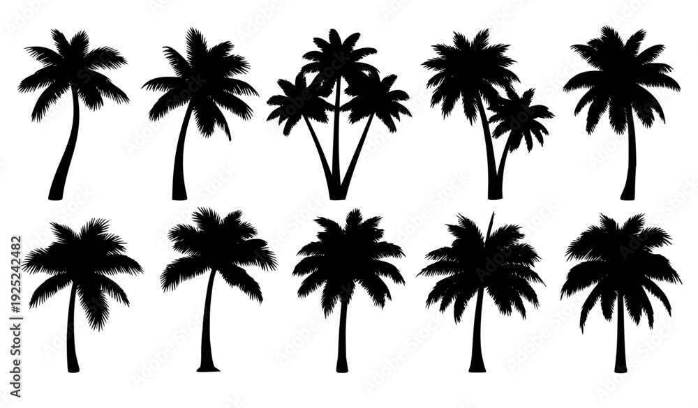 Obraz premium Tropical palm tree silhouette vector set with diverse trunk and frond shapes on white background