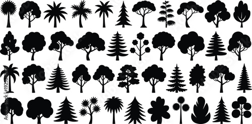 Black tree silhouettes set, palm trees, pine and deciduous forest trees, nature woodland collection, isolated botanical illustration