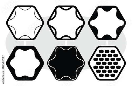 Abstract Hexagonal Shapes with Varied Internal Designs and Fillings