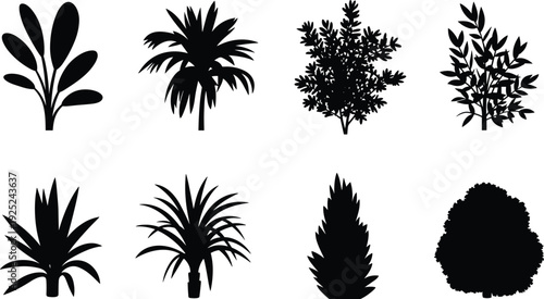 Plant and tree silhouette collection with tropical palm, bush, shrub and foliage shapes, black vector botanical elements isolated