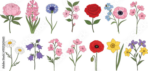 Hand Drawn Flower Collection with Spring Garden Blossoms Roses Tulips and Wildflowers for Botanical Decoration Wedding and Floral Design Projects