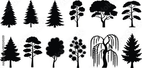 Tree silhouettes collection featuring pine, fir, deciduous and ornamental trees, black vector forest elements isolated on white