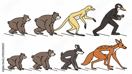 Evolution of Animals Progression Lineup for Biology Education Web Design Infographics and Scientific Illustration Projects