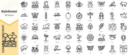 Simple Outline Set of rainforest icons. Linear style icons pack. Vector illustration