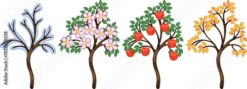 Apple tree in four seasons: spring, summer, autumn, winter. Conceptual change of seasons.