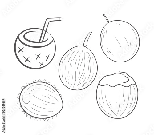 Black and white line of five different coconuts and a coconut drink straw tropical