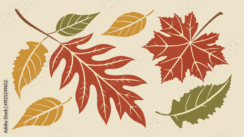 Autumn Leaf Collection Graphic Design Elements for Fall Seasonal Decor Website Banners Thanksgiving Invitations