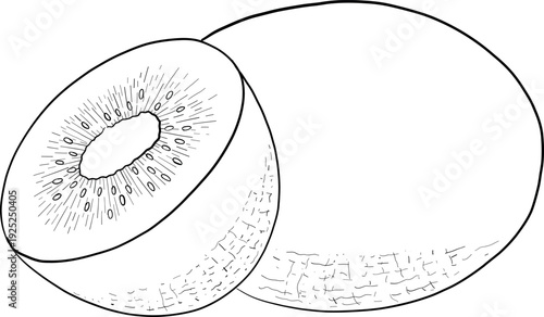 Set of Hand-Drawn ink style illustrations of tropical flowers, leaves and fruits. For menu, cosmetics and food packaging, coloring books and engraving decorations