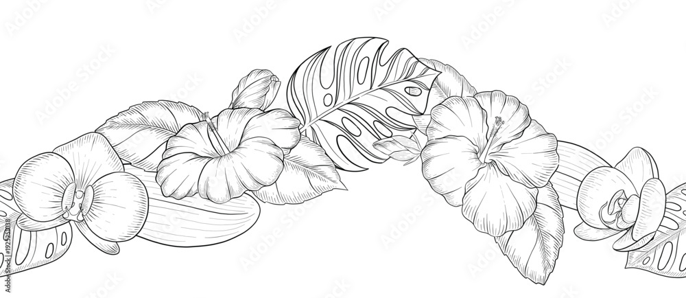 Φωτογραφία Set of Hand-Drawn ink style illustrations of tropical flowers, leaves and fruits
