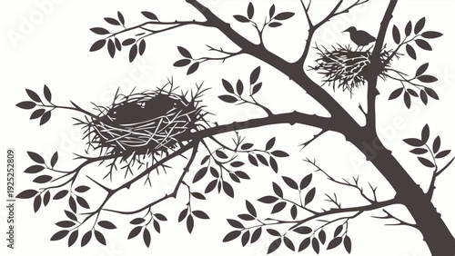Bird Nests in Tree Branches Silhouette for Spring Home Decor Website Design or Nature Background Graphic
